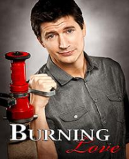 Burning Love en Streaming VF GRATUIT Complet HD 2012 en Français