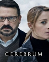 Cerebrum saison 1 en Streaming VF GRATUIT Complet HD 2019 en Français