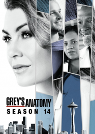Grey's Anatomy saison 14 episode 15 en Streaming