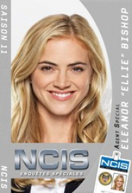 NCIS : Enquêtes spéciales saison 11 episode 20 en Streaming