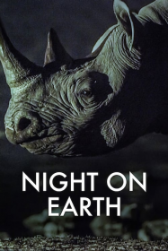Night on Earth en Streaming VF GRATUIT Complet HD 2020 en Français