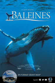 Baleines Streaming VF Français Complet Gratuit