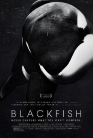 Blackfish Streaming VF Français Complet Gratuit