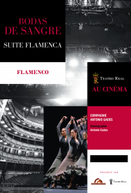 Bodas de sangre - Suite Flamenca (Rising Alternative) Streaming VF Français Complet Gratuit