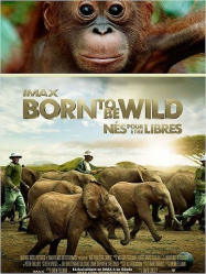 Born to Be Wild Streaming VF Français Complet Gratuit