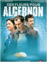 Des fleurs pour Algernon (TV)