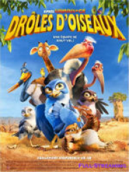 Drôles D oiseaux (Zambezia 3D)