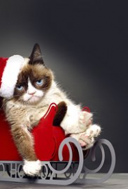 Joyeux Noël Grumpy Cat