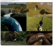 Le Japon Sauvage E02 Final Tropical Et Animal [720p.HDTV]