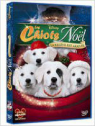 Les Chiots Noël, la relève est arrivée