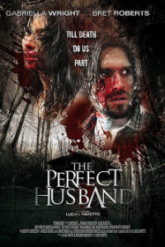The Perfect Husband Streaming VF Français Complet Gratuit