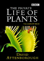 The Private Life of Plants