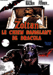 Zoltan, le chien sanglant de Dracula Streaming VF Français Complet Gratuit