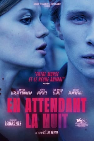 En Attendant la Nuit Streaming VF Français Complet Gratuit