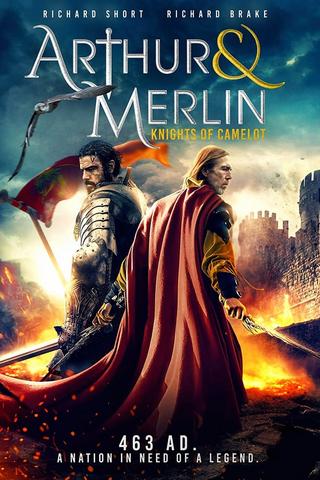 Arthur & Merlin: Knights of Camelot Streaming VF Français Complet Gratuit
