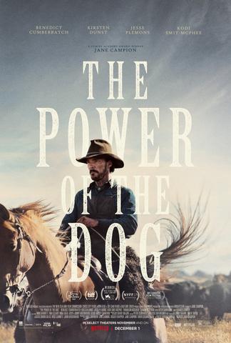 The Power of the Dog Streaming VF Français Complet Gratuit