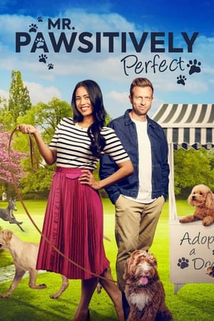 Un Amour de Chien Streaming VF Français Complet Gratuit